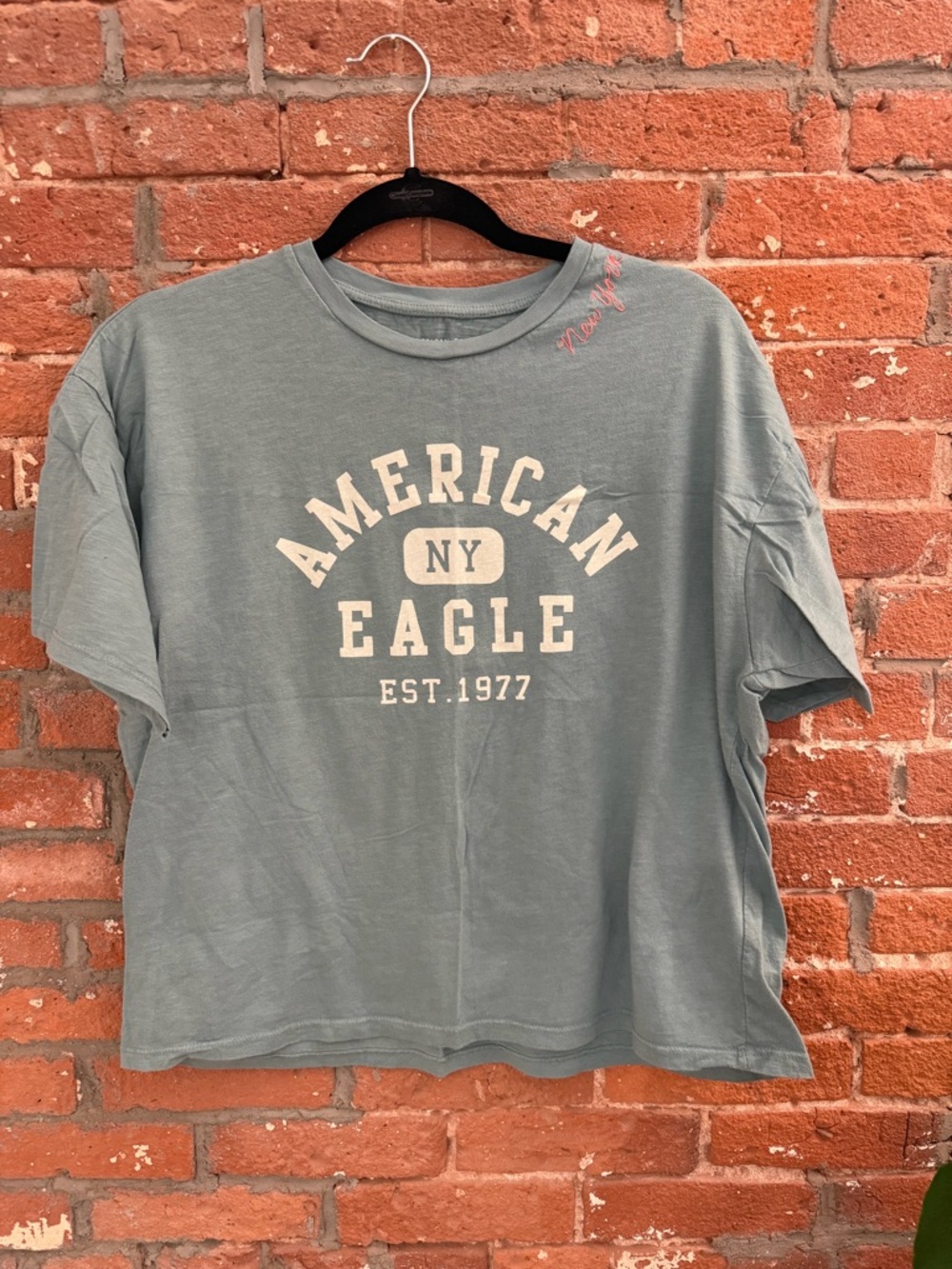 American Eagle Outfitters Graphic Tee